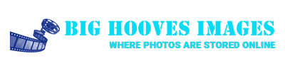 Big Hooves Images